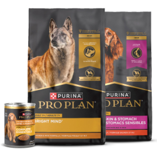 Proplan Dog Food Purina Pro Plan Senior Dry Dog Food, BRIGHT MIND