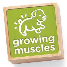 A green building block features a puppy illustration and the words Growing Muscles.