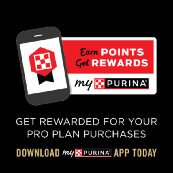 Cell phone with banner next to it that says, “Earn Points. Get Rewards. MyPurina.”