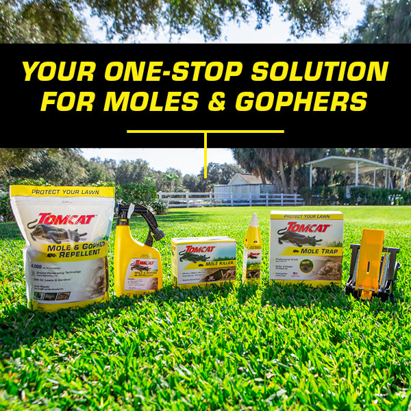 Your one-stop solution for moles and gophers, photo of product family on lawn