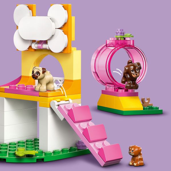 Help the pups climb the ladder and scamper through the tube.