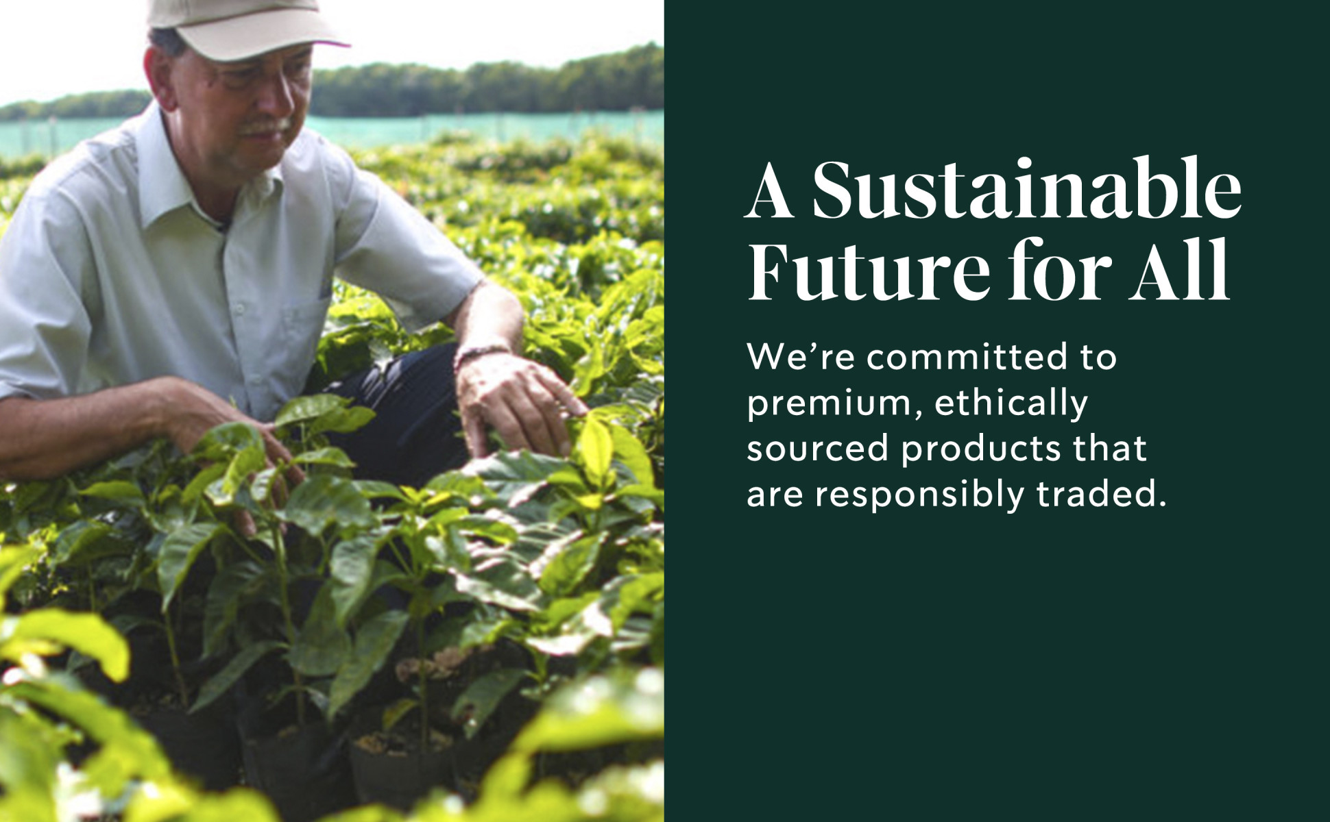 Sustainable Future For All