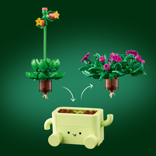 Choose which plant to display in which pastel-colored pot.