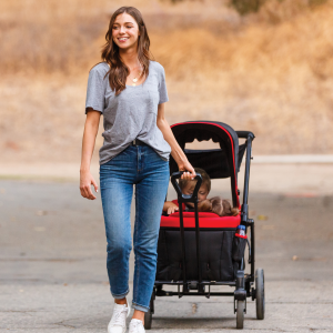 PROtect 2-in-1 Folding Booster Car Seat - Mars Red (Walmart Exclusive)