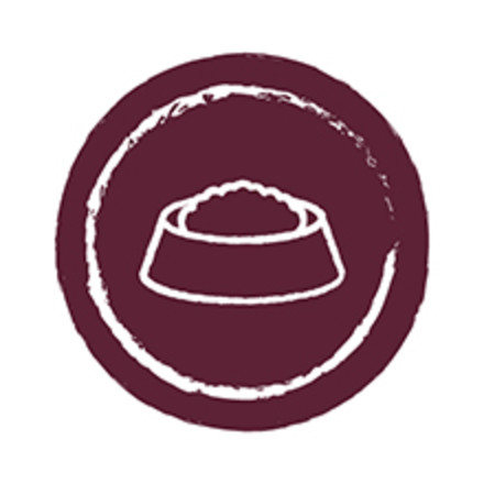 Circular icon with dog bowl image