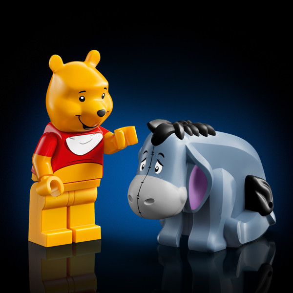 A posable Winnie the Pooh, plus an Eeyore character.