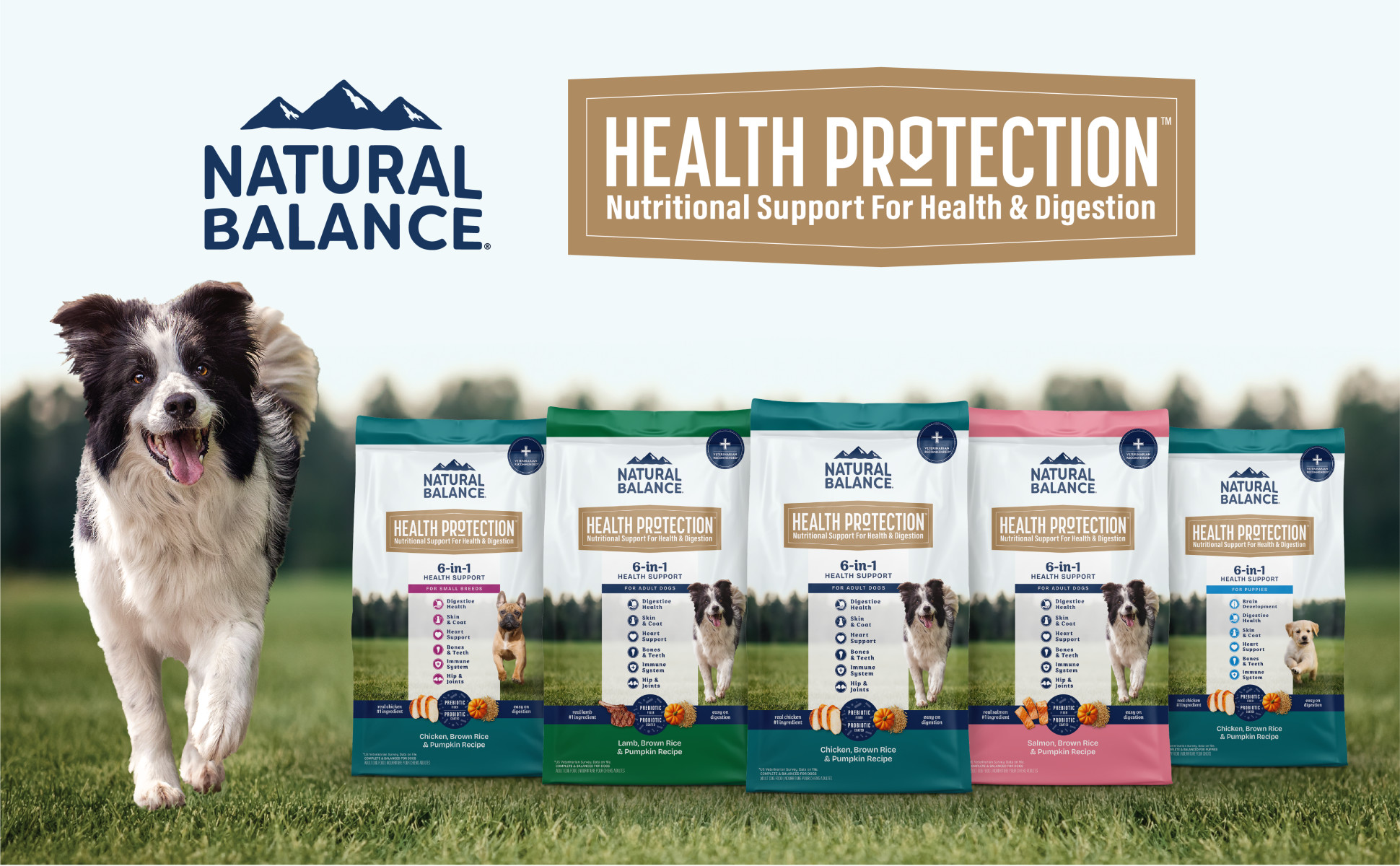 Natural Balance Health Protection Whole Body Health Easy on