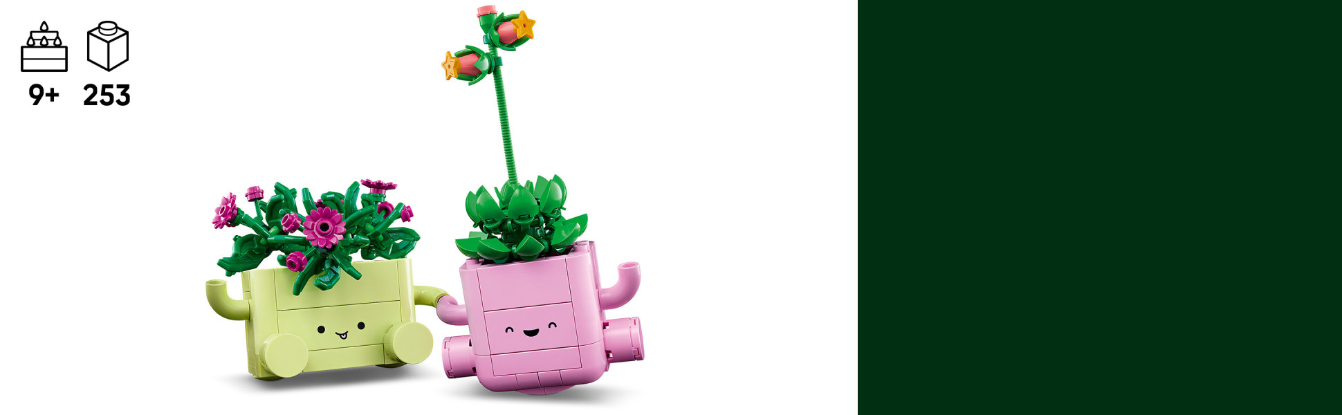 Craft a delosperma (ice plant) named Lumi with purple buds and an echeveria named Ellie with a tall stem and coral buds.