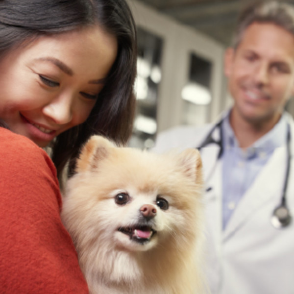 Pet owner holding dog at veterinarians office