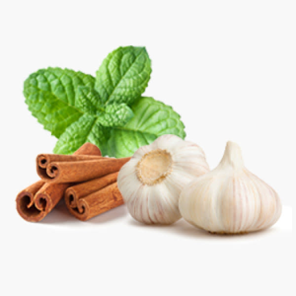 Close-up photo of mint, cinnamon and garlic on white background