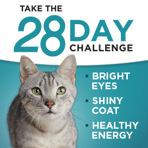 Take the twenty eight day challenge for bright eyes, a shiny coat and healthy energy.