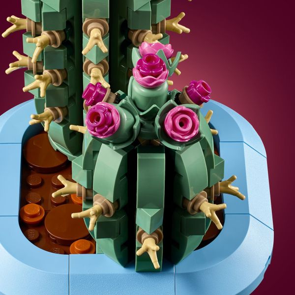 Build a smaller cactus with pink buds.