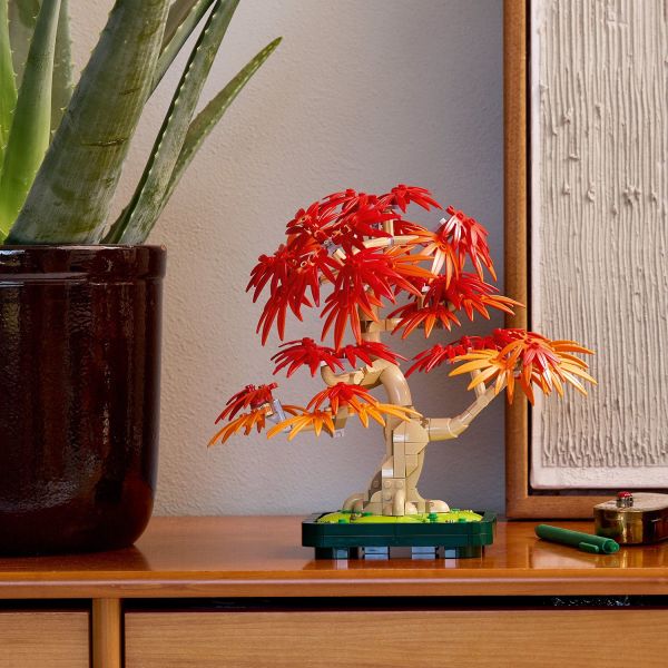 Once complete, use the bonsai tree as nature home decor.