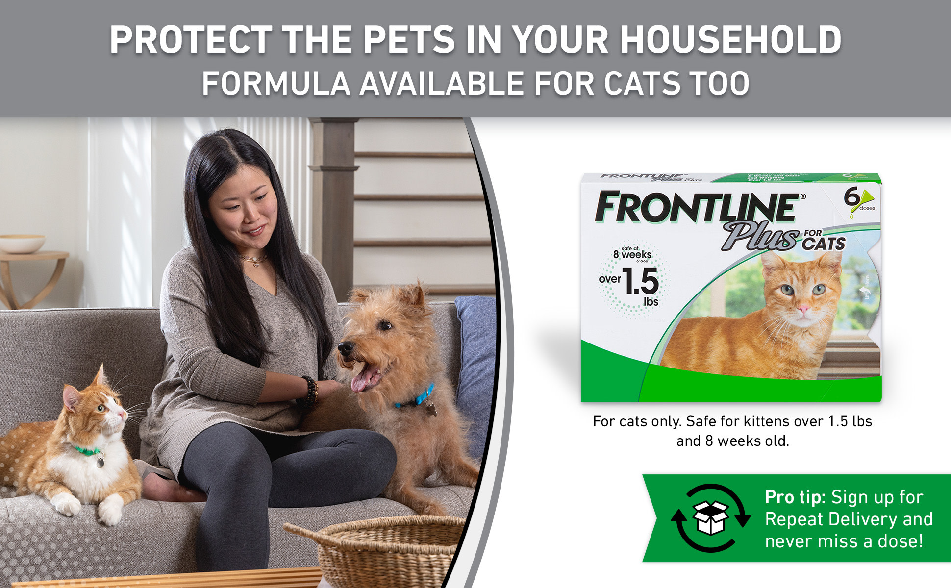 FRONTLINE Plus Flea Tick Treatment for Large Dogs 8ct