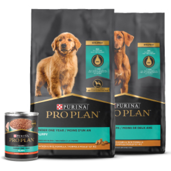 Two packages of Purina Pro Plan dry Puppy food with one can of wet puppy food