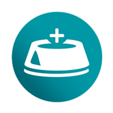 ICON SHOWING A CAT FOOD BOWL