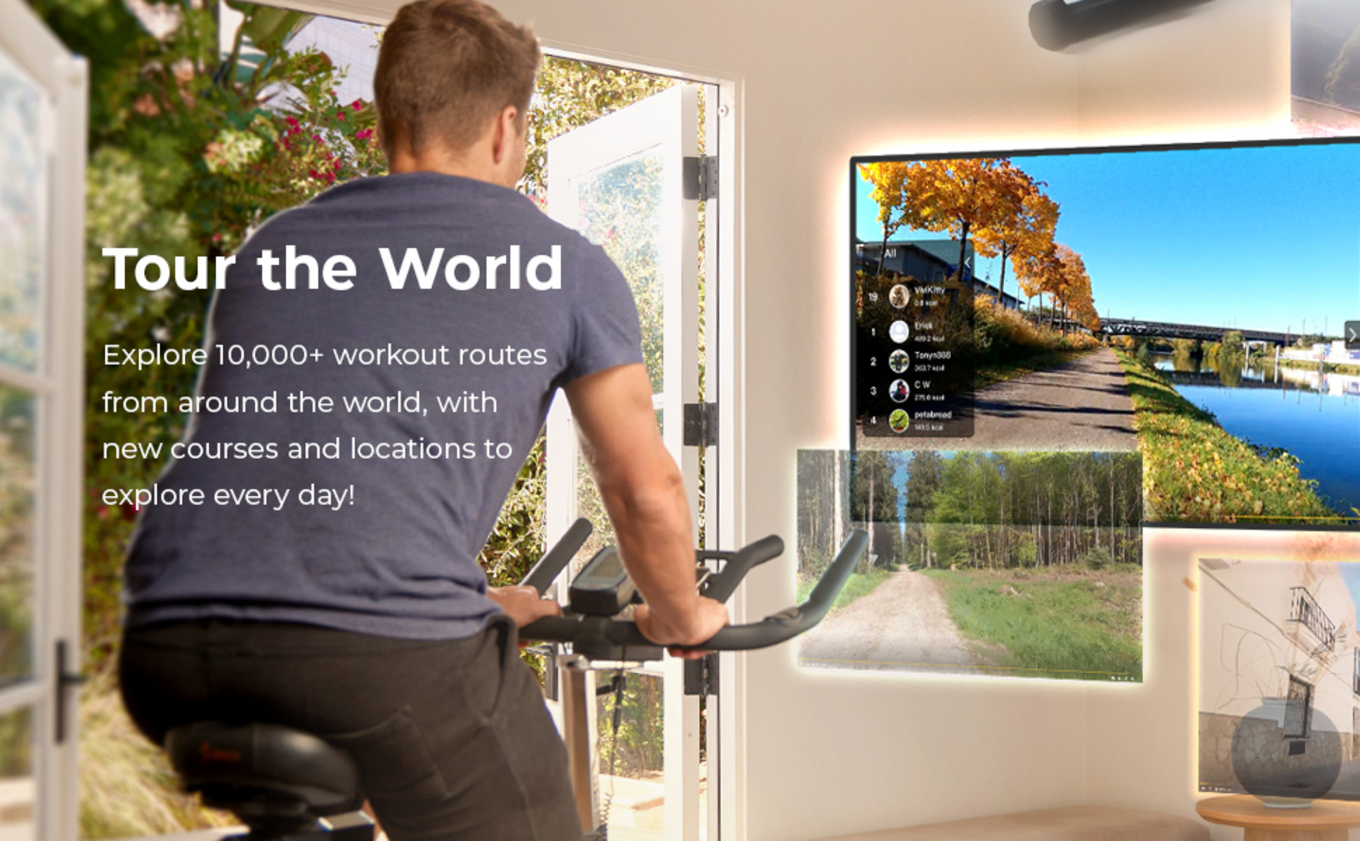 Sunny Health & Fitness Compact Cardio Air Walk Trainer