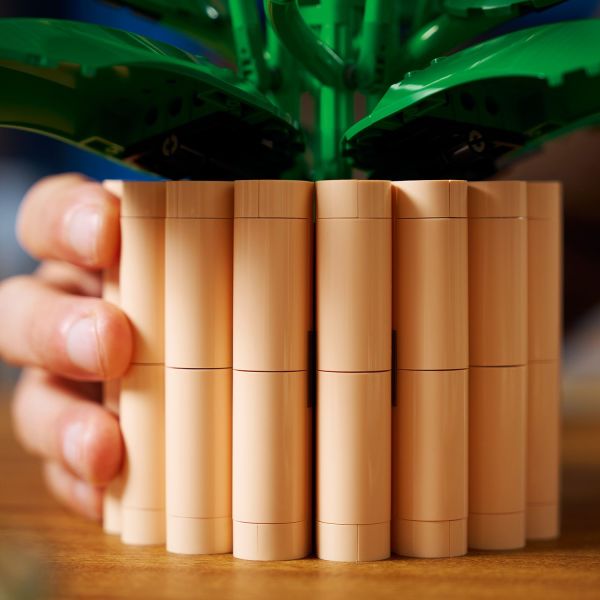 The peace lily comes in a plant pot for easy display.