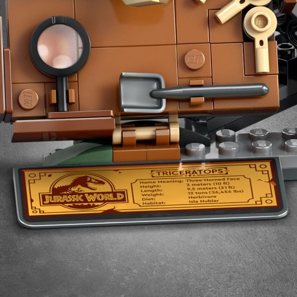 Set includes an information plaque with dinosaur details.