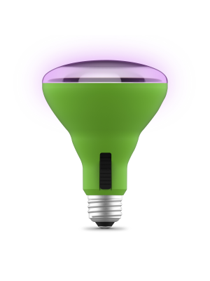 ea11b63bcc1d7c69d8fb30aba669d6