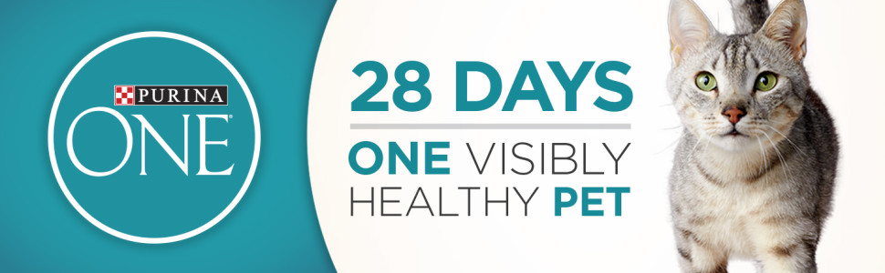 Purina One. Twenty eight days, one visibly healthy pet.