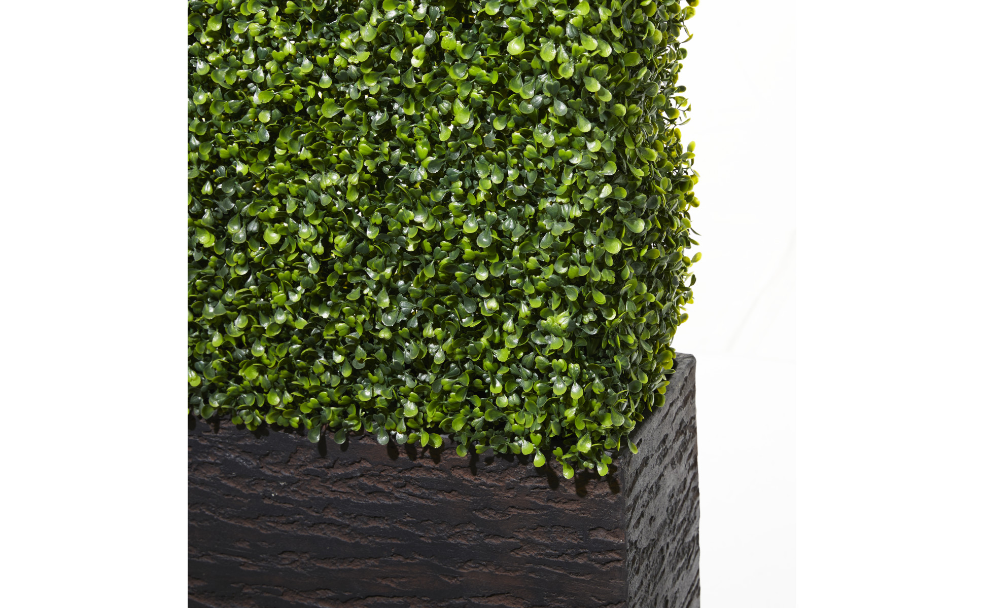 Litton Lane 66 in. H Tall Boxwood Hedge Topiary with