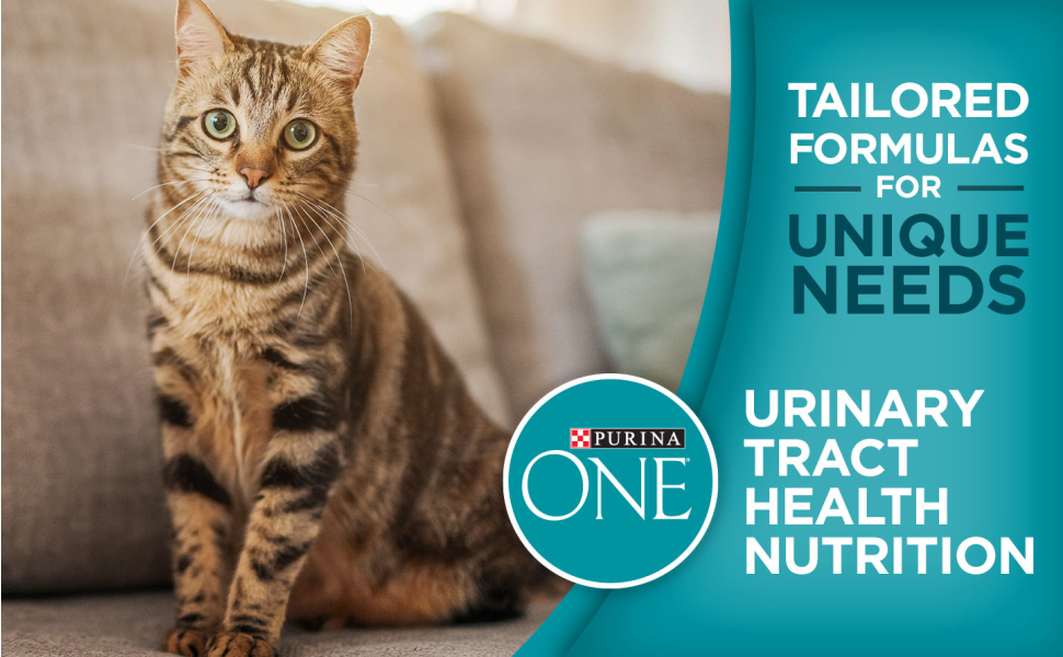 Tailored formulas for unique needs. Purina ONE cat food for urinary tract health nutrition