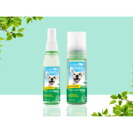 TropiClean Fresh Breath Oral Care Clean Teeth Gel for Cats, - Main Image