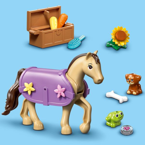 Comes with a saddle, a horse blanket, carrots and more.