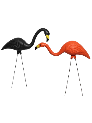 Bloem 2 Pack Spooky Halloween Flamingo Large 14