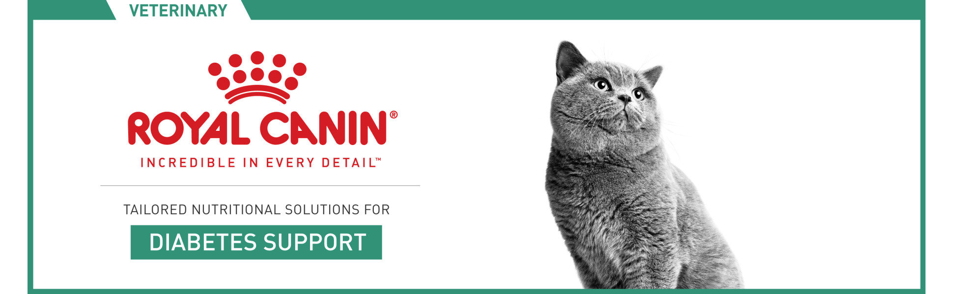 Royal fashion canin feline diabetic food