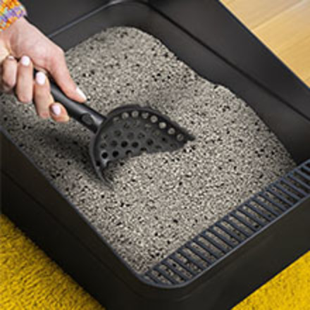 Cat owner easily scooping out clumps from a litter box.