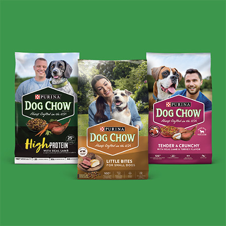 Purina Dog Chow Little Bites With Real Chicken and Beef Small Breed Dog Food Dry Recipe 4 lbs. Petco