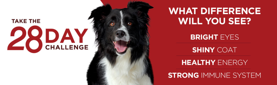 Take the twenty eight day challenge. What difference will you see?