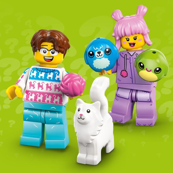 Cat Lover and Plush Toy Collector.