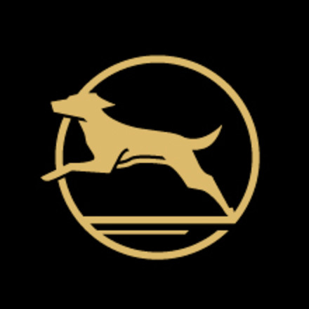 Icon of leaping dog