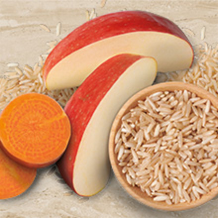 An image of sliced apples and carrots as well as a bowl of grains.