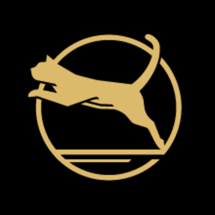 Icon of lean cat leaping