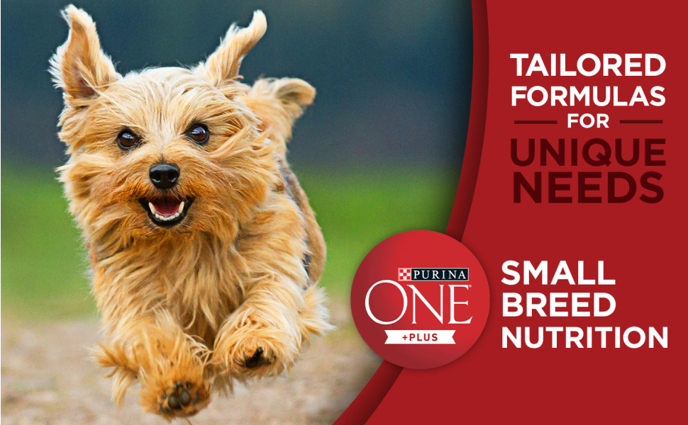 Purina ONE Plus Adult Dry Dog Food for Small Breeds Lamb and Rice