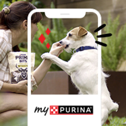 An image linking Prime chews to the myPurina app.