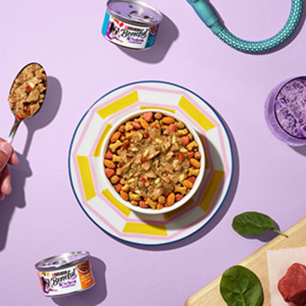 A bowl of Beneful dry dog food topped with wet food seen from above, all on a light purple tabletop.