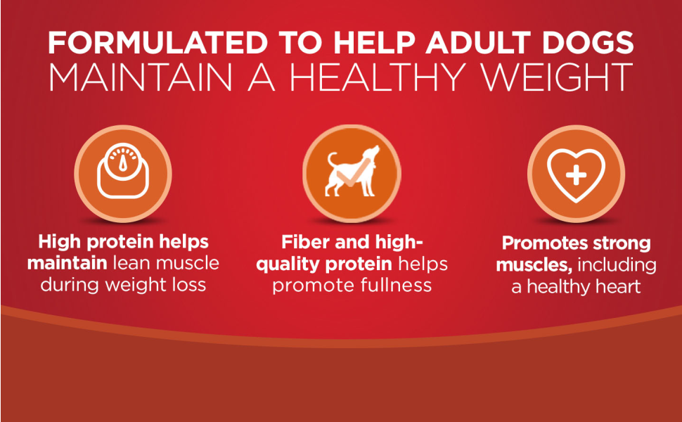 Formulated to help adult dogs maintain a healthy weight. High protein helps maintain lean muscle