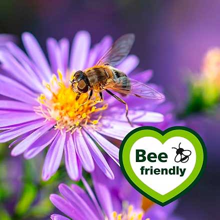 Bee friendly formula for flowers