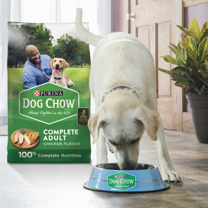 Purina Dog Chow complete adult dog food bag with a dog eating kibble out of a bowl