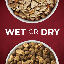 Wet or dry dog food varieties