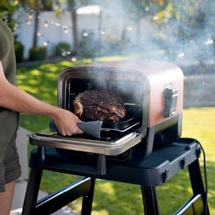 The Ninja Woodfire Electric Outdoor Oven is a pizza oven, BBQ and smoker in  one