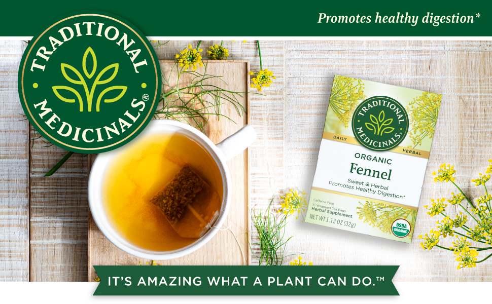 FENNEL 購入特典　オリジナルトレーディングカード　GON FENNEL 購入特典 オリジナルトレーディングカード GON Tales of SERIES