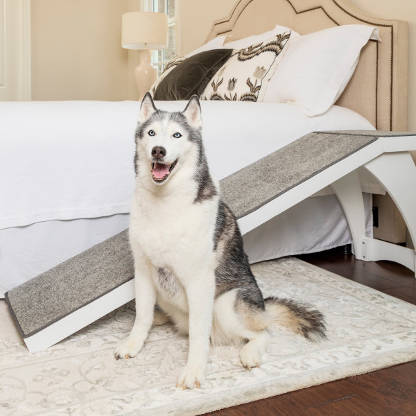 Pet ramps for shops beds