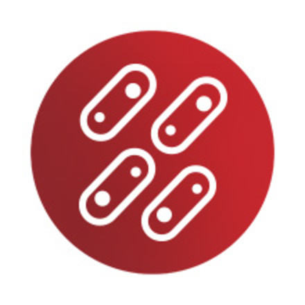 Icon with fiber elements