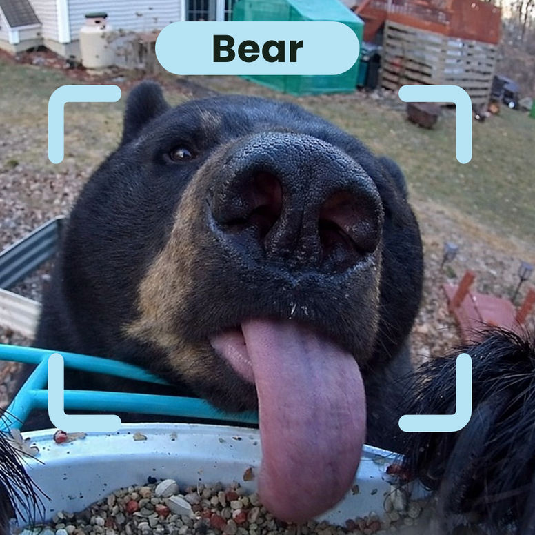 20+ Additional Species Detection